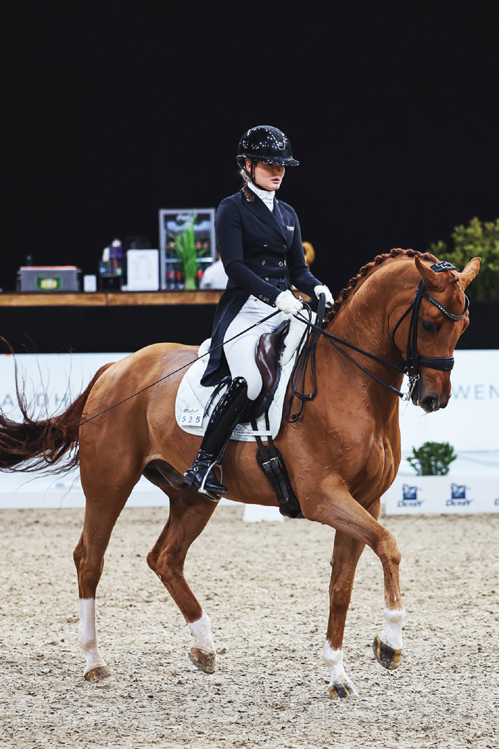 192A4487 Dressur Kachel